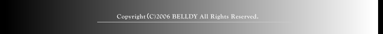 このサイトの著作権は全て株式会社ベルディにあります。